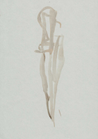 http://www.actionaqua.com/files/gimgs/th-105_29 februar 45invert_v2.jpg